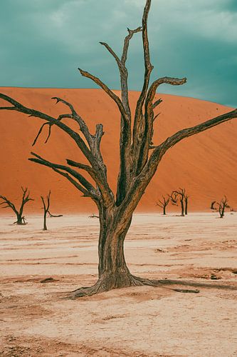Deadvlei in Sossusvlei, Namibië