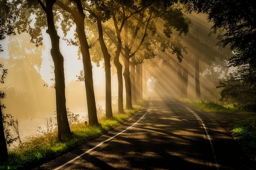 The sun breaking through the fog by Ferdinand Mul