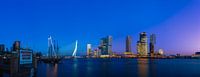 Kop van Zuid met supermaan (panorama) van Prachtig Rotterdam thumbnail