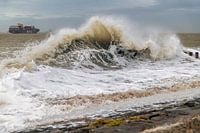 Golven aan zee