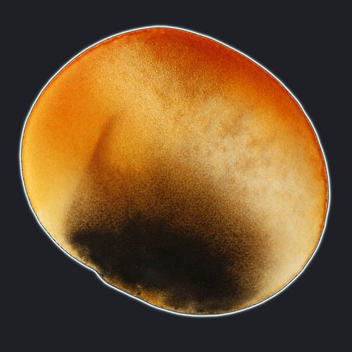 AMBER GLOW AQUA PETAL 997 - Abstrakte Aquarellmalerei mit tiefem Schimmer