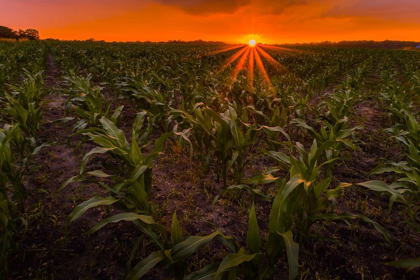 Sunset at Ootmarsem by peterheinspictures