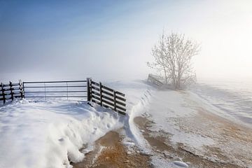 Winter in de Alblasserwaard van Ko Hoogesteger