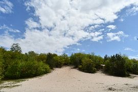 Rheezerbelten near Rheeze, Hardenberg by Bernard van Zwol
