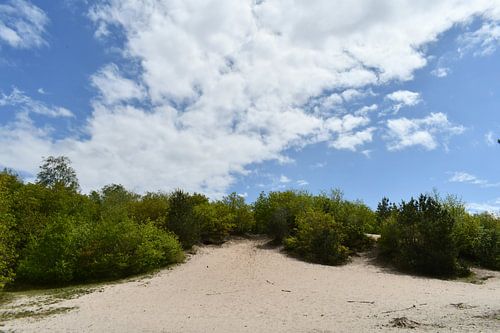 Rheezerbelten bij Rheeze, Hardenberg