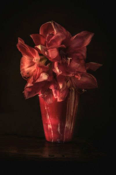 Amaryllis rouge dans un vase rouge. Wout Kok One2expose par Wout Kok