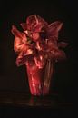 Amaryllis rouge dans un vase rouge. Wout Kok One2expose par Wout Kok Aperçu