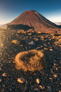 New Zealand Mount Ngaruhoe in Tongariro National Park by Jean Claude Castor