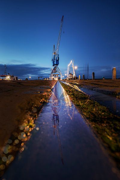 Kranich - eine Spur. Hafen von Harlingen von Edwin Kooren