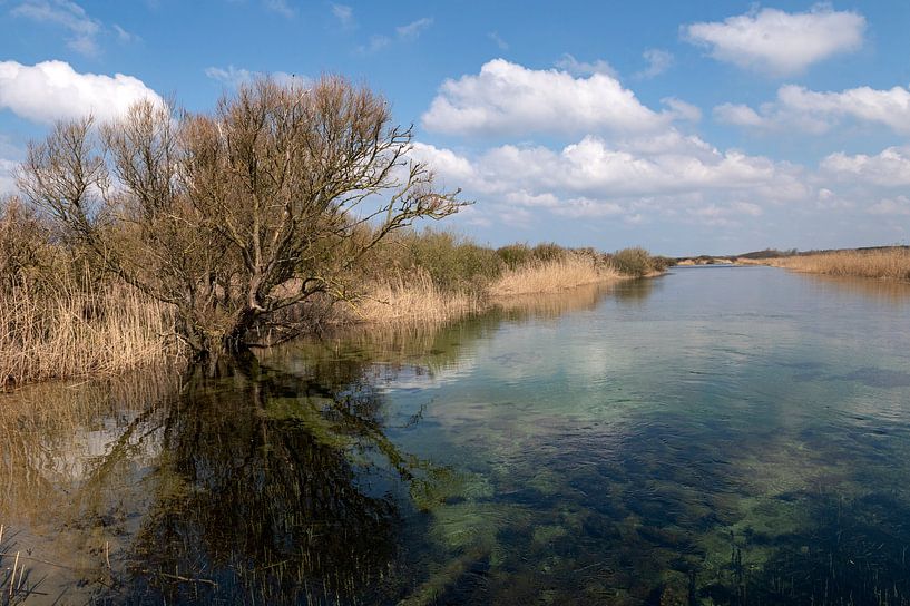 North Holland Dune Reserve by Richard Wareham