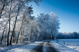 Sonne und Ripe sind Freunde von FotoCreatives