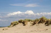 On the Dutch coast