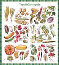 Vegetable Encyclopedia by Ariadna de Raadt-Goldberg thumbnail