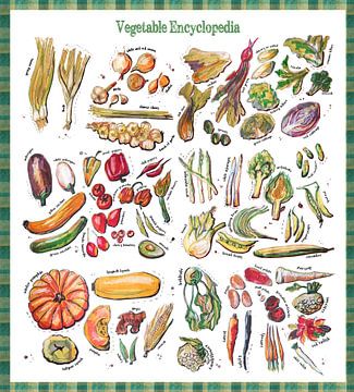 Vegetable Encyclopedia by Ariadna de Raadt-Goldberg