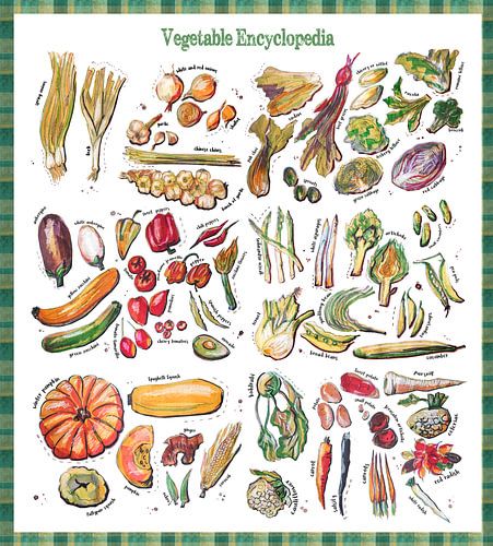 Groente Encyclopedia