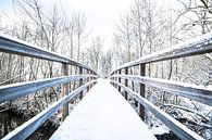 Besneeuwde brug in een winters landschap van Fotografie Jeronimo thumbnail