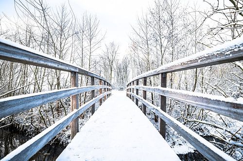 Besneeuwde brug in een winters landschap