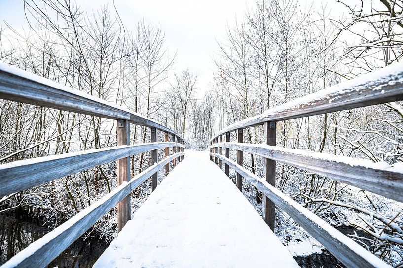 Besneeuwde brug in een winters landschap van Fotografie Jeronimo