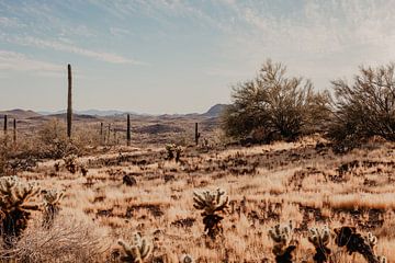 landschap Arizona Amerika