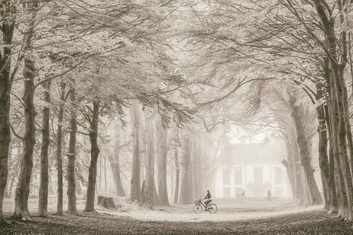 A Path for Many ~ Larsochrome