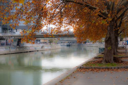 L'automne sur le canal du Danube