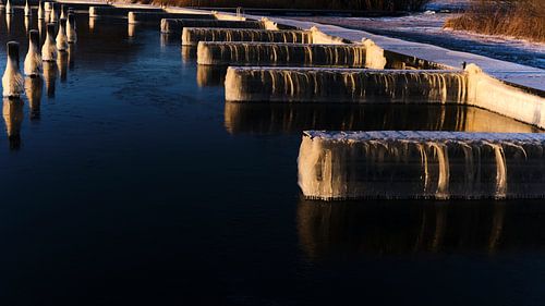 Icy harbour in morning light in nature reserve
