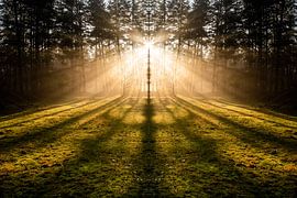 solar harp Loenermark by Gerard Hol