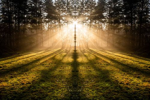 Solar-Harfe Loenermark