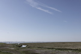 Pictures of Spiekeroog, an East Frisian island in the North Sea. by Bianca Meyering Fotos - BMF