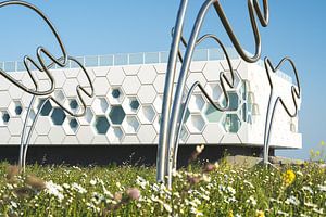 Modern Wadden Center – L'architecture sur la digue de fermeture