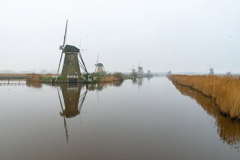Le moulin de Kinderdijk dans le brouillard par Merijn Loch