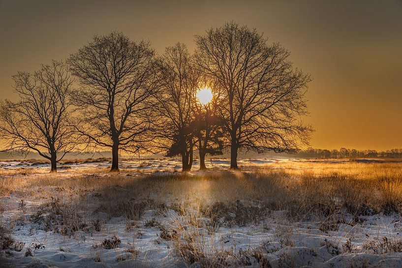 Zonsopkomst tussen de bomen van KB Design & Photography (Karen Brouwer)