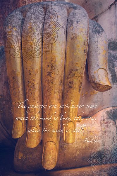 De hand van Buddha by Misja Vermeulen