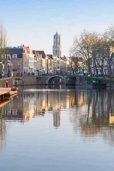 The Dom Tower in Utrecht from the Bemuurde Weerd by Michel Geluk