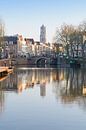 The Dom Tower in Utrecht from the Bemuurde Weerd by Michel Geluk thumbnail