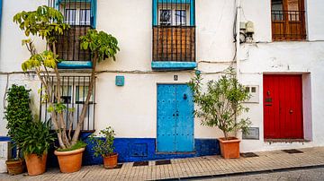 Colourful front doors in Andalusia, Marbella by Mark Litjens Art