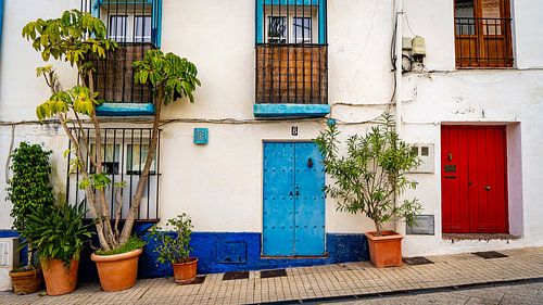 Kleurrijke voordeuren in Andalusië, Marbella