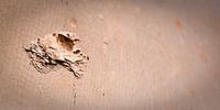 Urban decay - 1