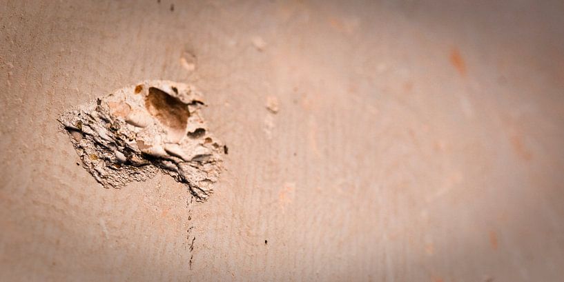 Urban decay - 1 by Erik van Rosmalen