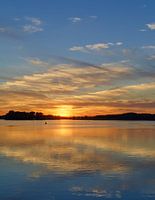 Abend im Müritz Nationalpark