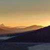 Desert awakenings by Peter Vruggink