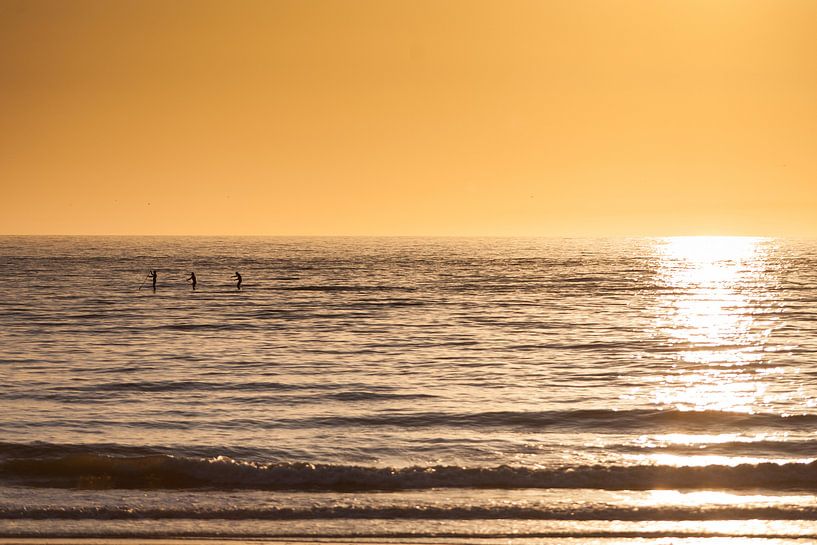 Supboarden bij Zonsondergang von Aiji Kley