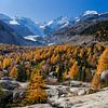 Autumn colors, Morteratsch gletsjer van Paul Begijn