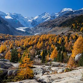 Herfst aan de voet van de Morteratsch gletsjer van Paul Begijn