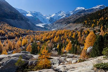 Herfst aan de voet van de Morteratsch gletsjer van Paul Begijn