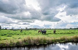 Weiland met Paarden van Brian Morgan