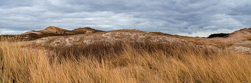 Dunes Schoorl
