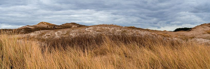 Dunes Schoorl by Mariusz Jandy