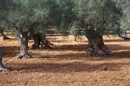 If they could tell No. 1