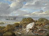 Stillleben mit Tintenfischen, Scholle, Kabeljau, Muscheln und anderen Fischen, Jan van Kessel von Meisterhafte Meister Miniaturansicht